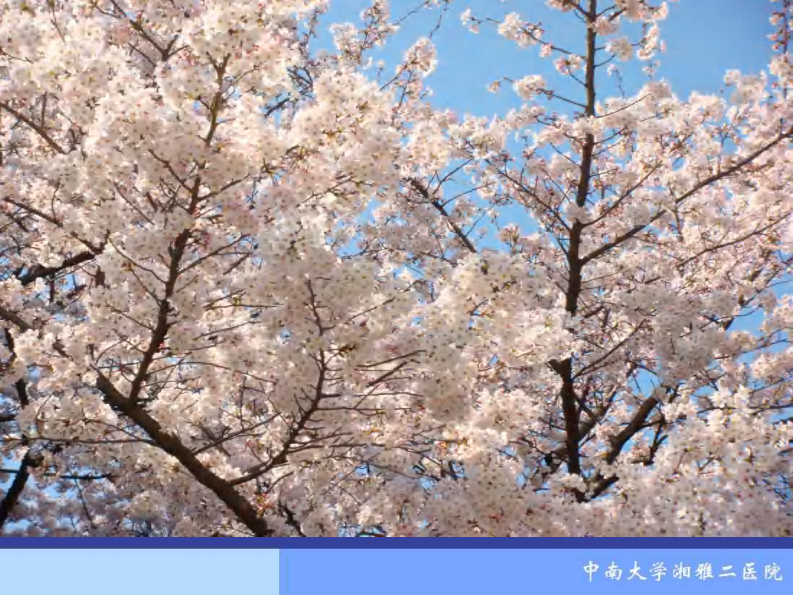 骨科-骨折概论（修改）.pdf 第4页