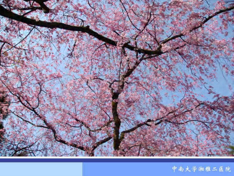 骨科-骨折概论（修改）.pdf 第2页