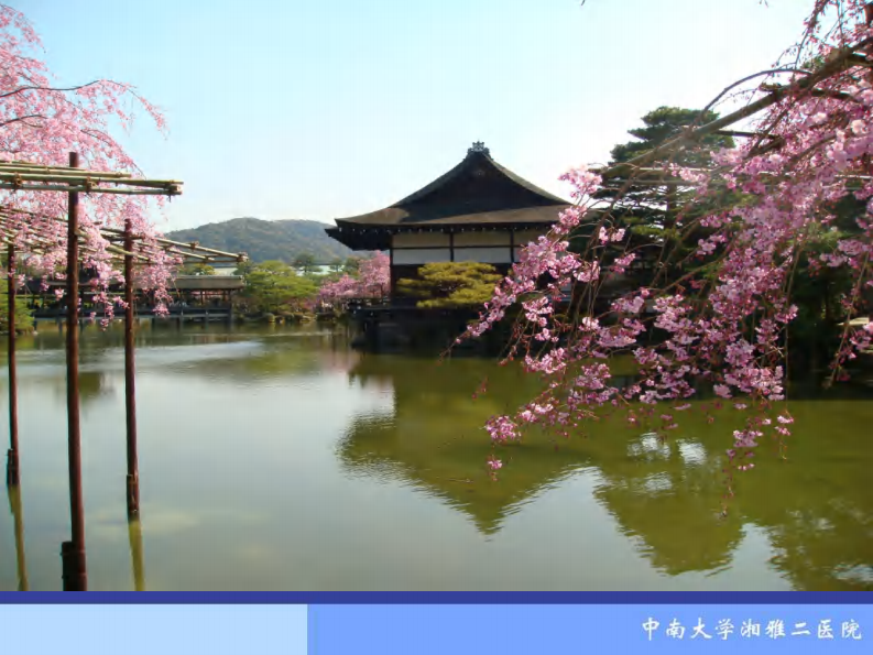 骨科-骨折概论（修改）.pdf 第3页