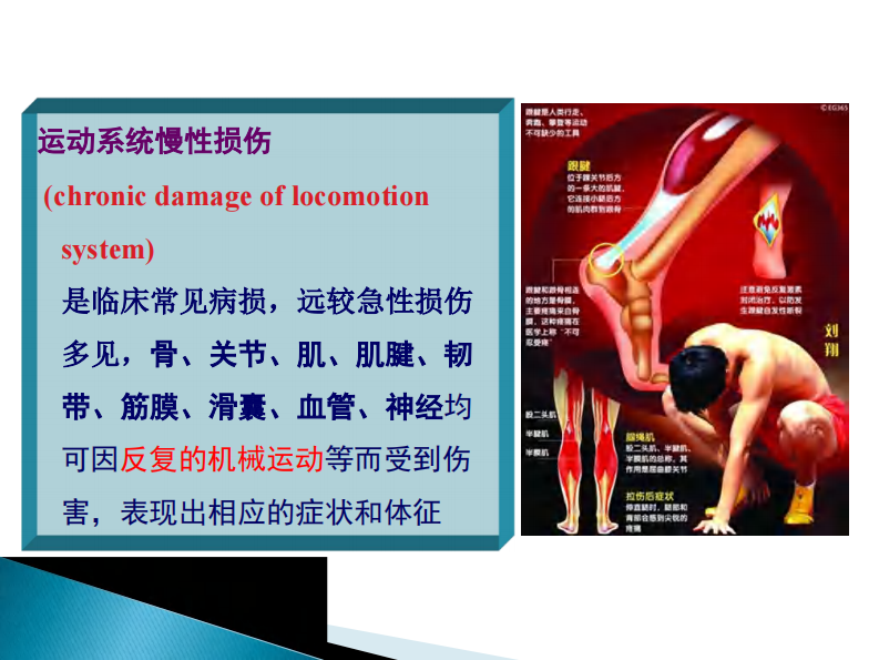 骨科-椎间盘突出症 .pdf 第5页