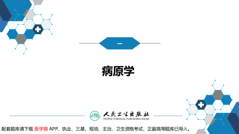 第四章 细菌性传染病 第十三节 结核病.pdf 第5页