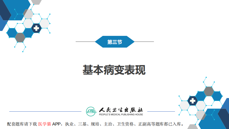 第二章 中枢神经系统 第三节 基本病变表现.pdf 第4页