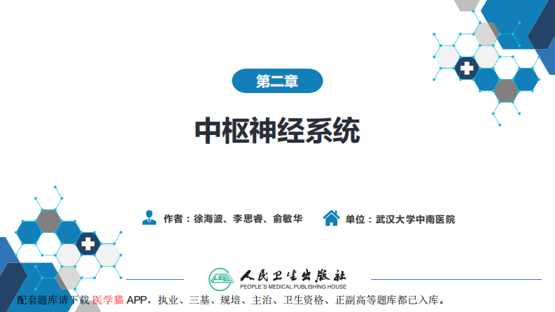 第二章 中枢神经系统 第一节 检查技术.pdf 第2页