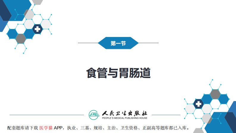 第七章 消化系统与腹膜腔 第一节 食管与胃肠道.pdf 第3页