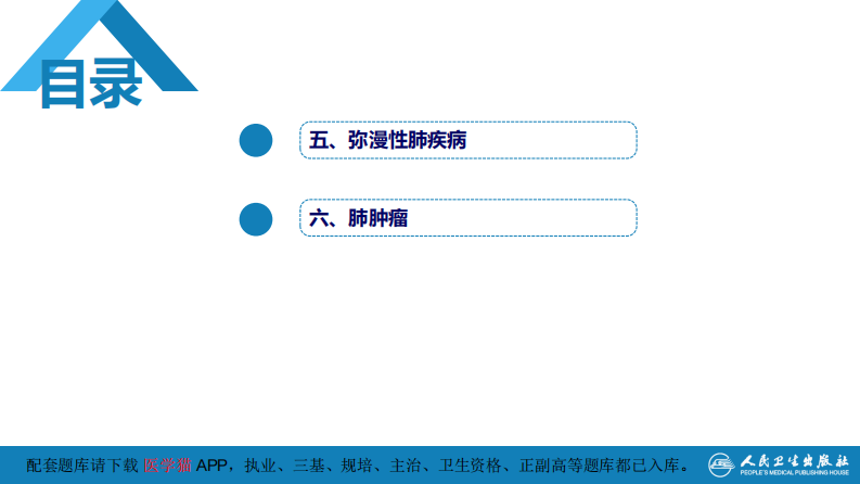 第四章 呼吸系统 第四节 疾病诊断-弥漫性肺疾病、肺肿瘤.pdf 第4页