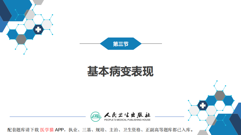 第五章 循环系统 第三节 基本病变表现；第四节 疾病诊断.pdf 第5页