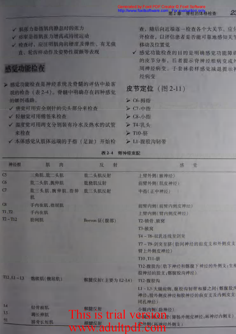 骨科核心知识—脊柱.pdf 第1页