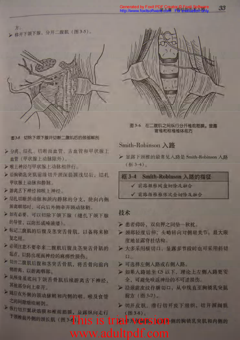 骨科核心知识—脊柱.pdf 第5页