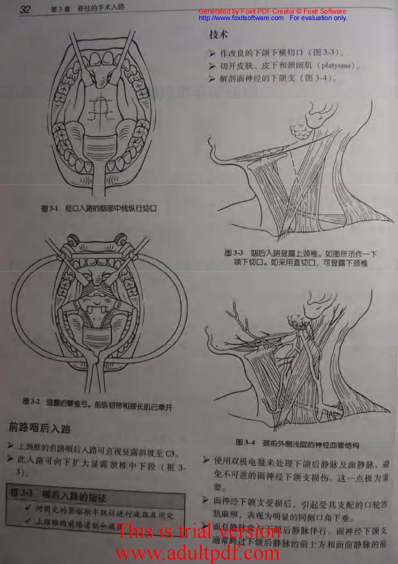 骨科核心知识—脊柱.pdf 第4页