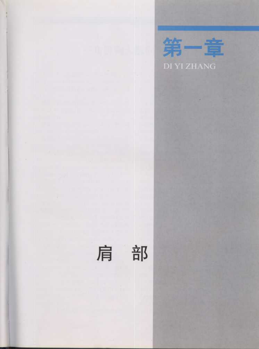 骨科手术入路图谱（中文高清彩图版）.pdf 第2页