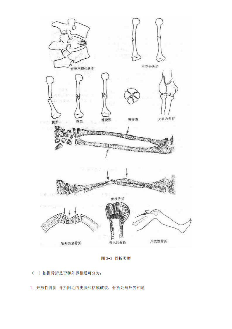 骨科学.pdf 第3页