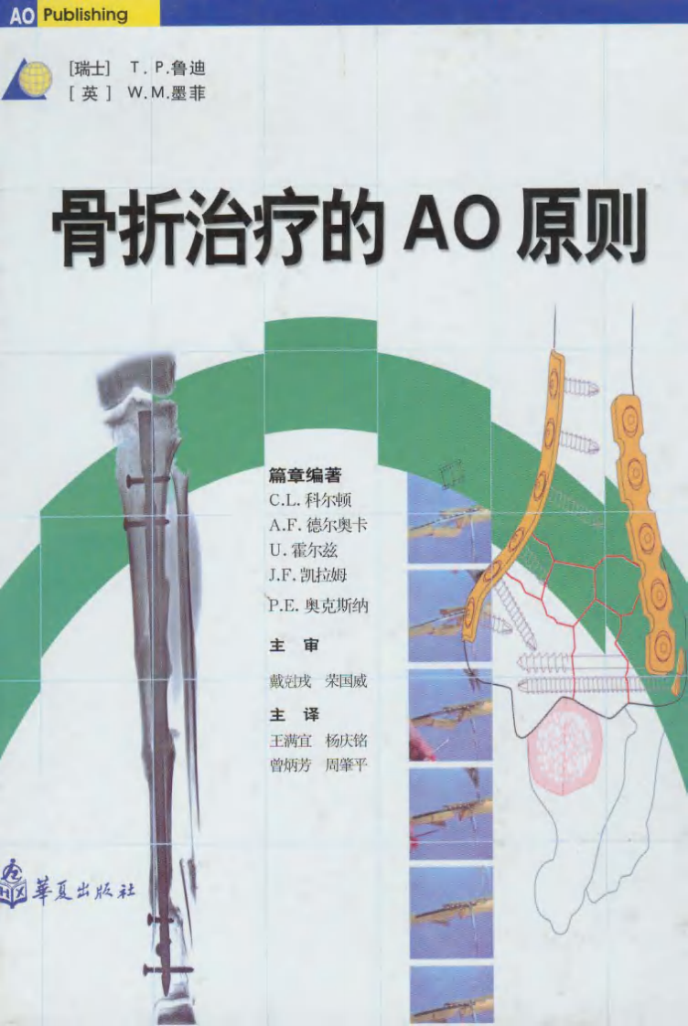 骨折治疗的AO原则（高清中文版）.pdf 第1页