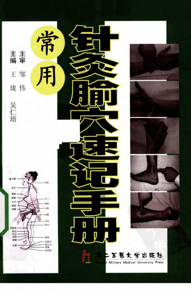 常用针灸腧穴速记手册（超清版）.pdf 第1页