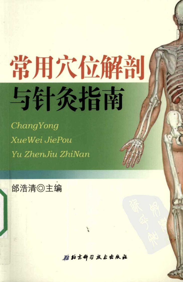 常用穴位解剖与针灸指南（超清版）.pdf 第1页