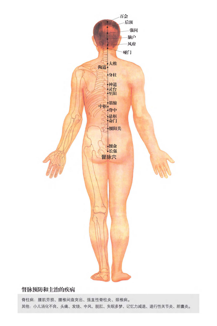 超高清人体穴位经络大图.PDF 第3页