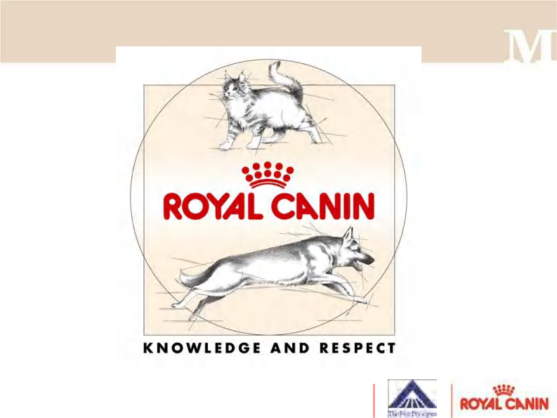 宠物-慢性肾脏病诊断.pdf 第2页