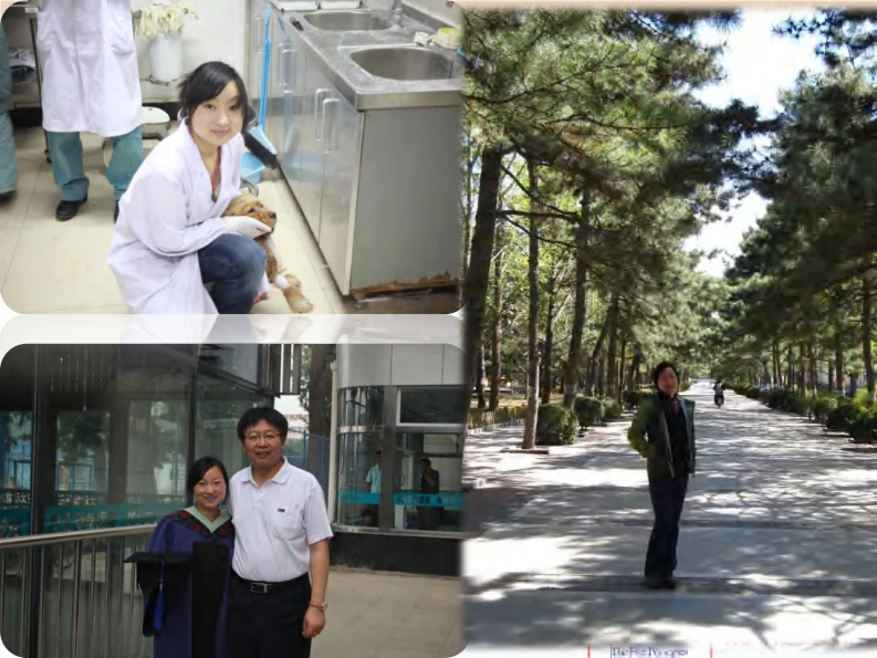 宠物-皮肤病专题.pdf 第3页