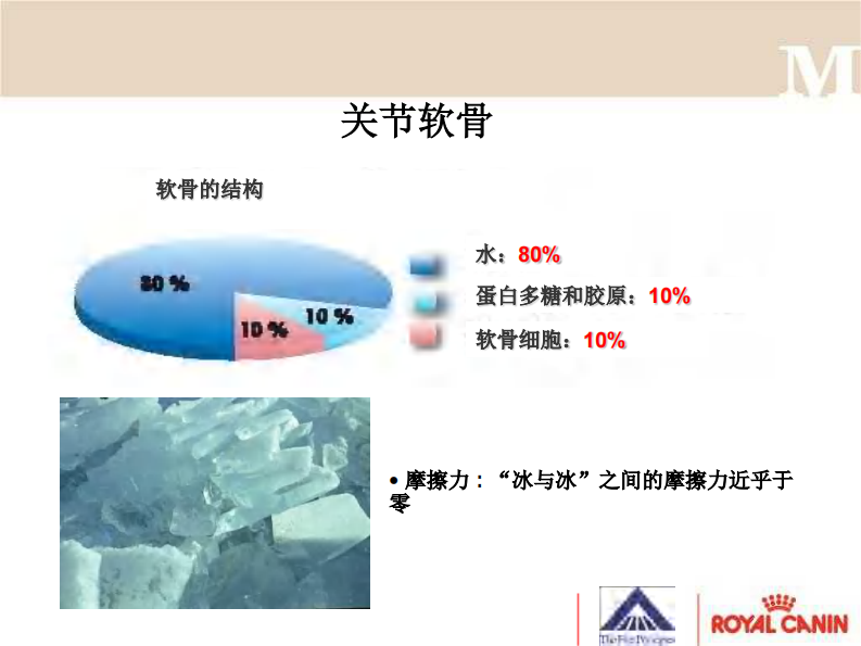 宠物-犬关节炎.pdf 第5页
