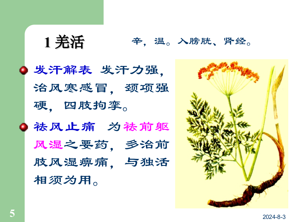 09祛湿药及祛湿方.ppt 第5页