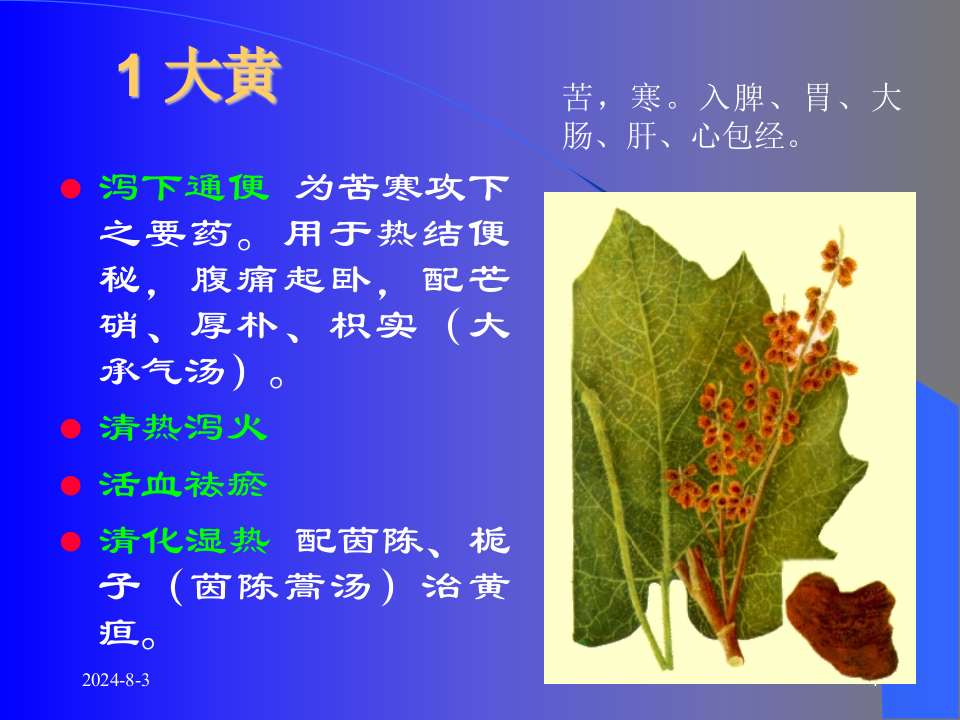04泻下药和泻下方.ppt 第4页