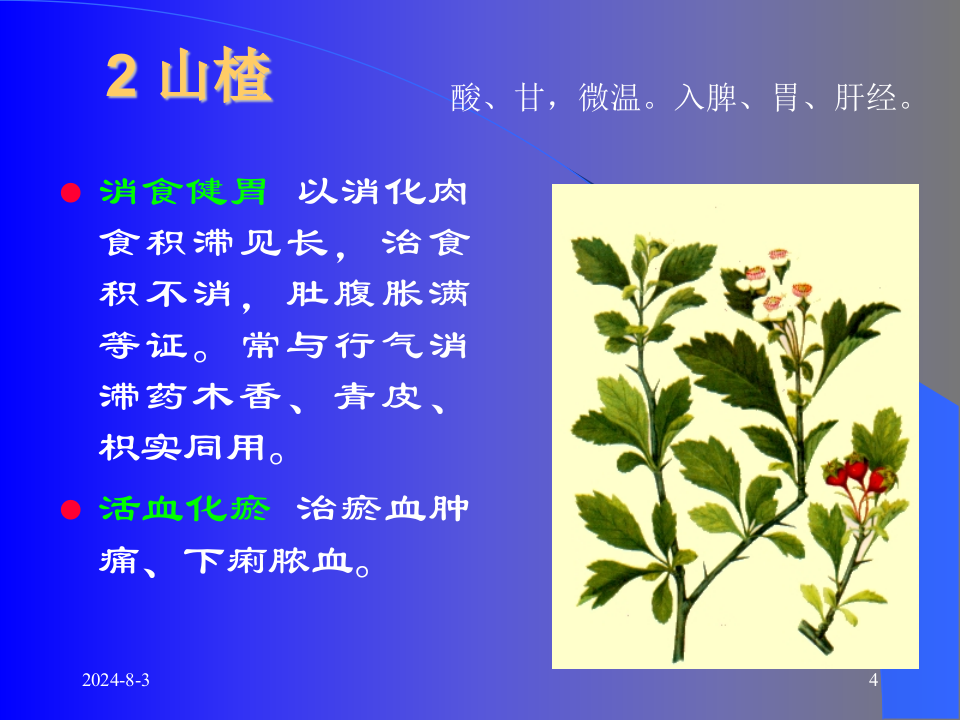 05消导药和消导方.ppt 第4页
