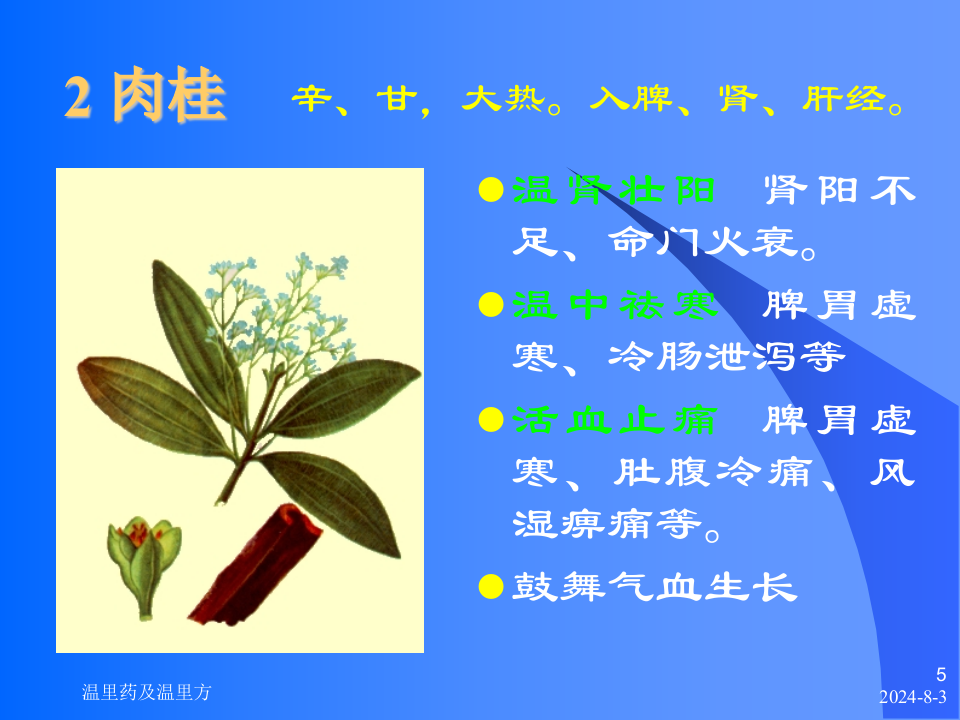 08温里药及温里方.ppt 第5页