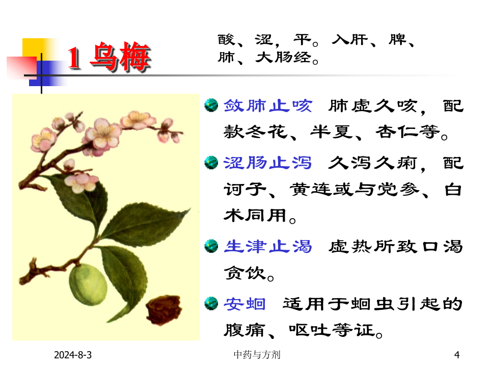11收涩药及收涩方.ppt 第4页