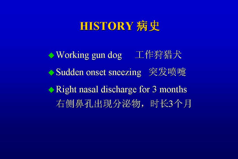 宠物-鼻部疾病.pdf 第1页