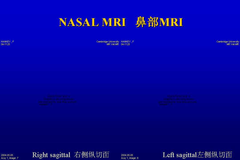 宠物-鼻部疾病.pdf 第4页