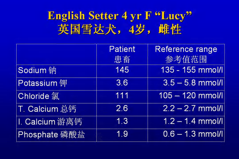宠物-呼吸困难的鉴别诊断.pdf 第5页