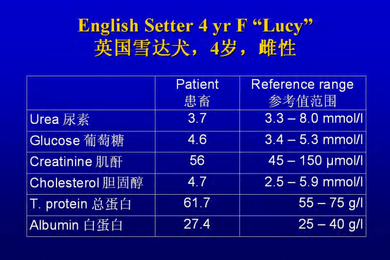 宠物-呼吸困难的鉴别诊断.pdf 第4页