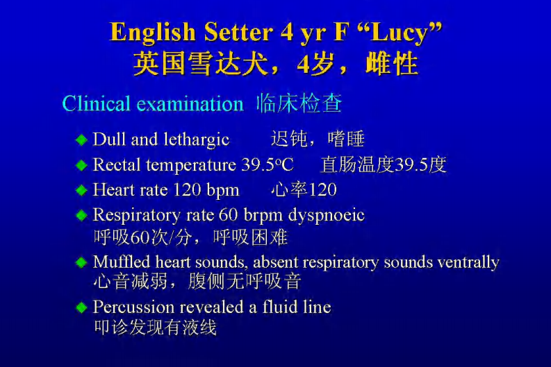 宠物-呼吸困难的鉴别诊断.pdf 第3页