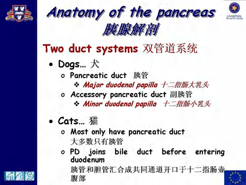 宠物-急性胰腺炎的诊断.pdf 第5页