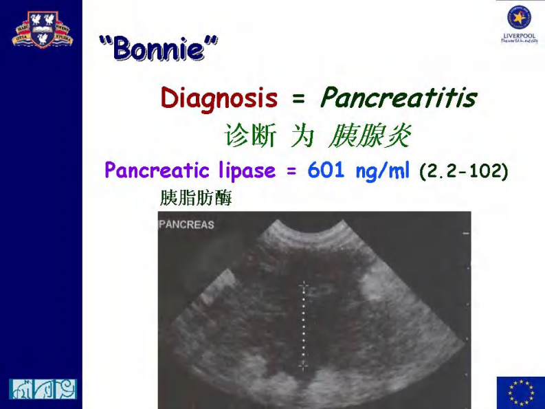 宠物-急性胰腺炎的治疗.pdf 第5页