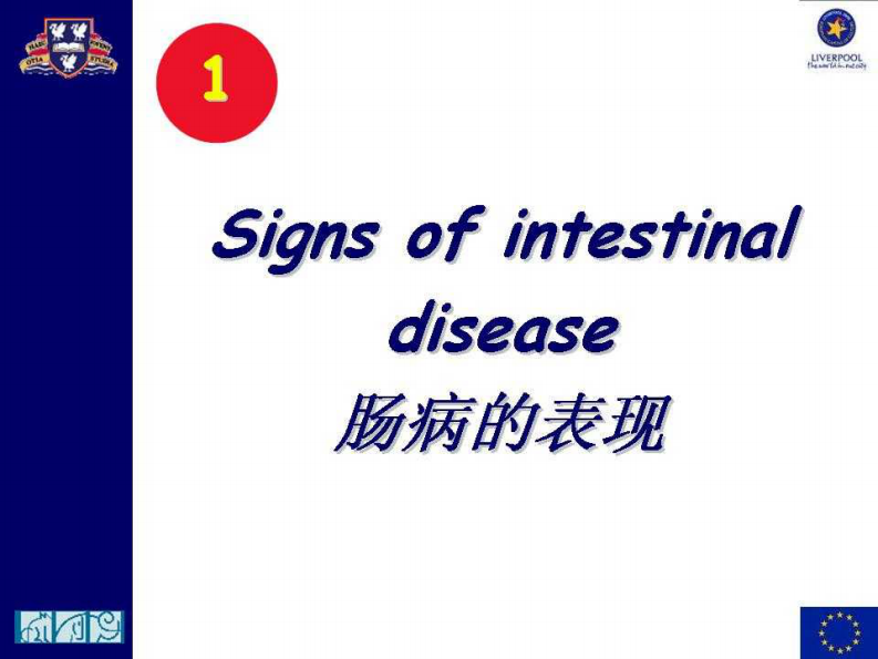 宠物-慢性肠炎的诊断.pdf 第3页