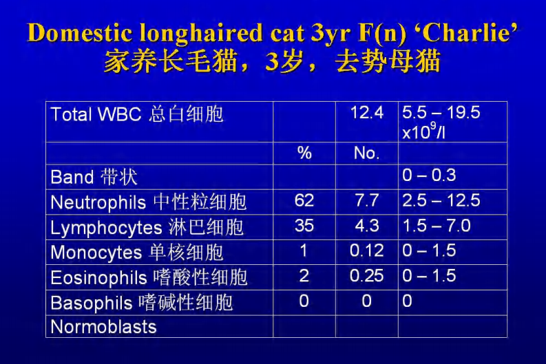 咳嗽的鉴别诊断和临床分析-猫.pdf 第5页