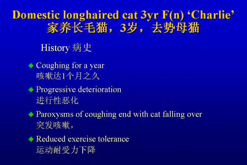 咳嗽的鉴别诊断和临床分析-猫.pdf 第2页