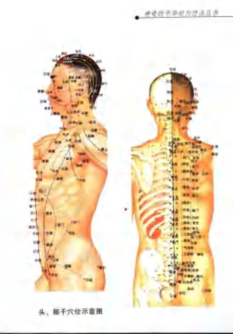 经穴美容.pdf 第5页