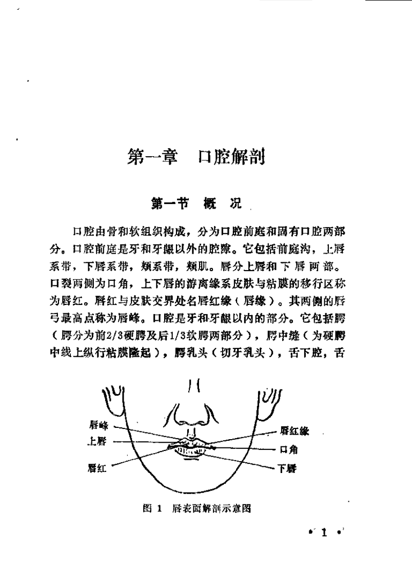 口针疗法（刘金荣）.pdf 第5页