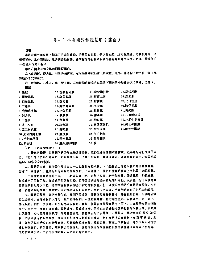 针灸解剖学图谱.pdf 第4页