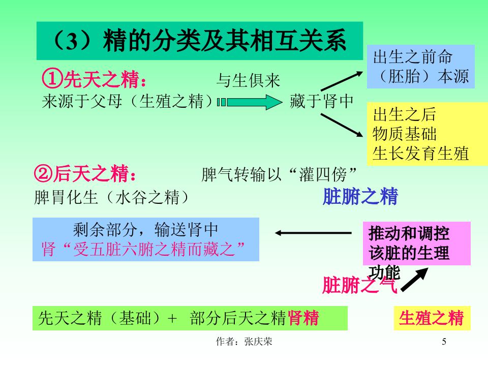 2-2.5_肾.ppt 第5页