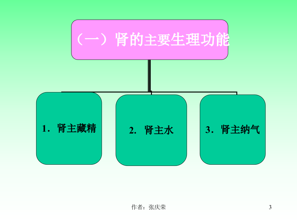2-2.5_肾.ppt 第3页