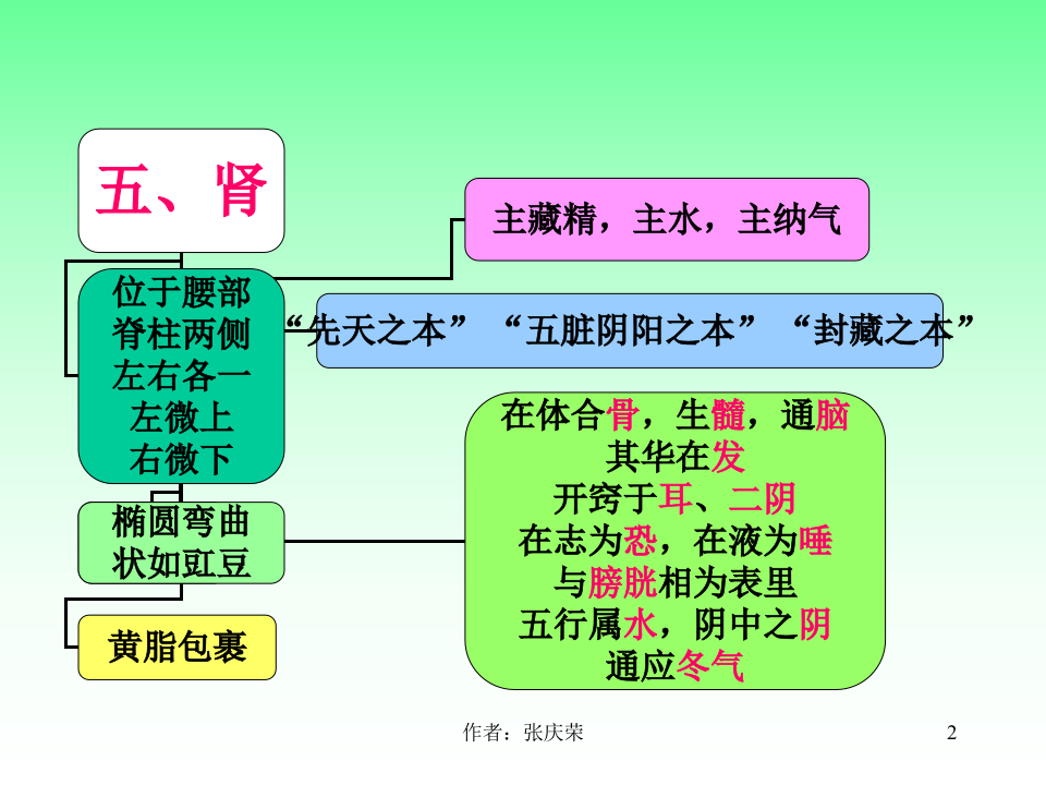 2-2.5_肾.ppt 第2页