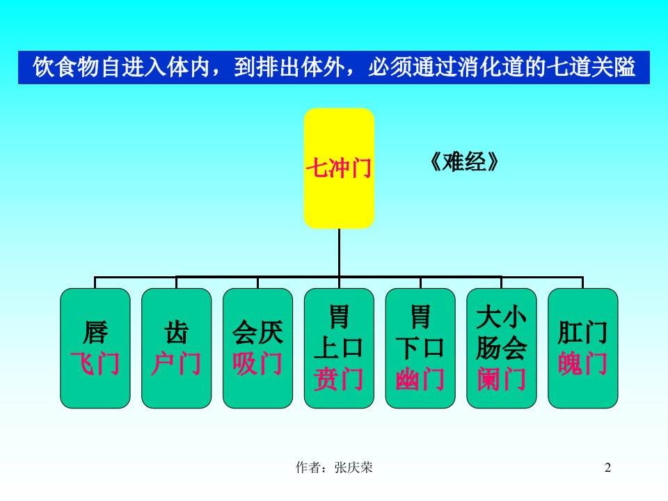 2-2.6_六腑、奇恒之腑.ppt 第2页
