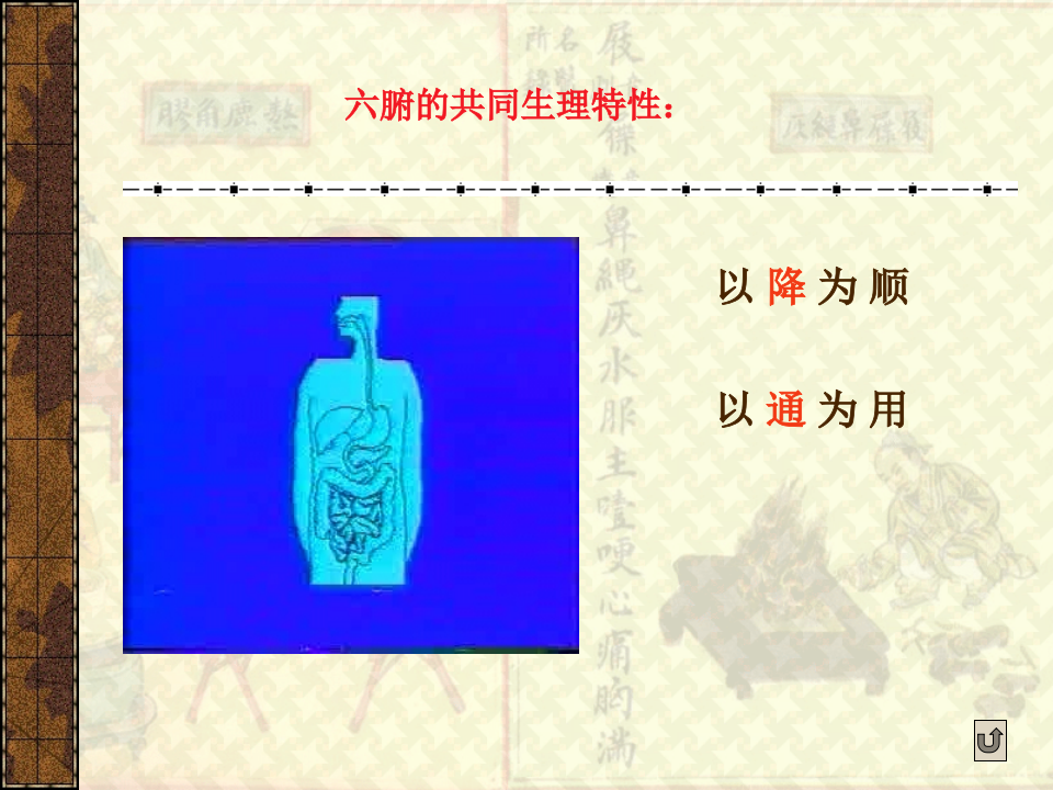 第三章_藏象_六腑.ppt 第4页