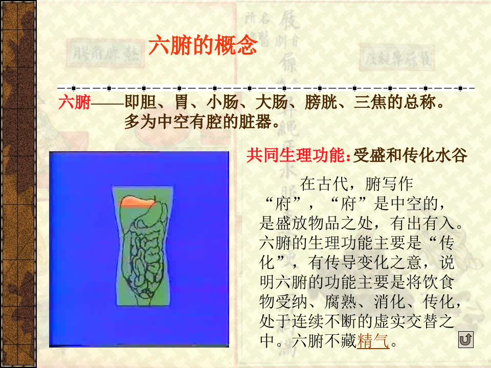 第三章_藏象_六腑.ppt 第2页