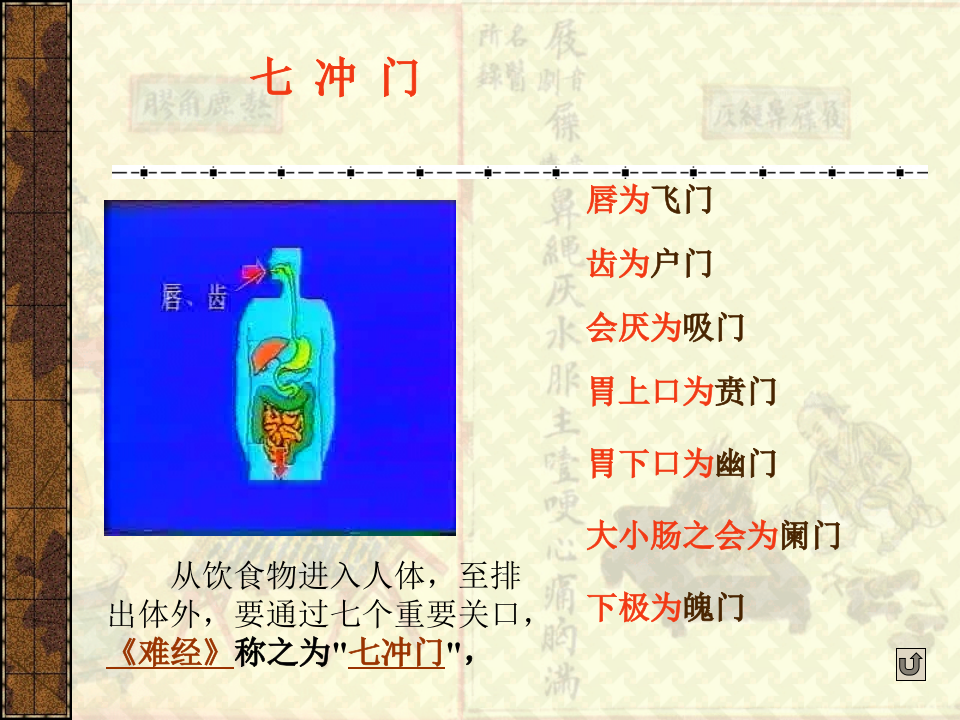 第三章_藏象_六腑.ppt 第3页