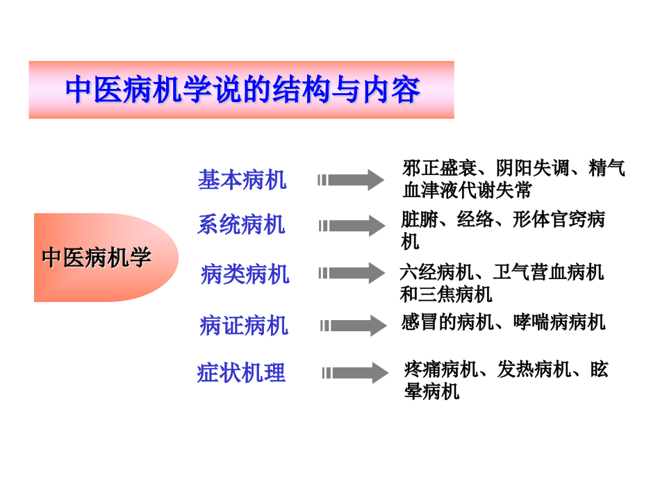 广中医-中医基础理论-病机.ppt 第3页