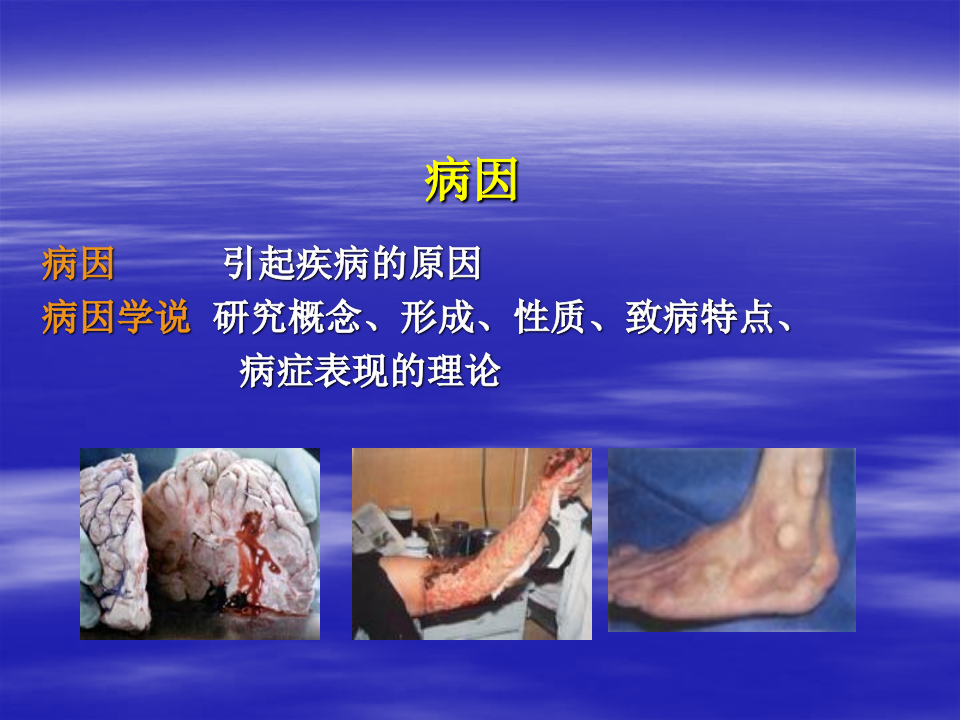 中医病因.ppt 第2页