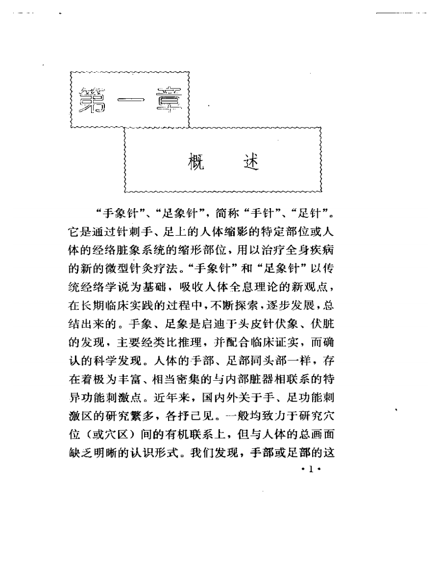手象针与足象针.pdf 第5页